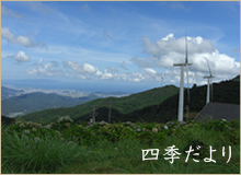 四季だより