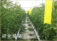 研究開発