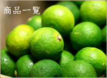 商品一覧