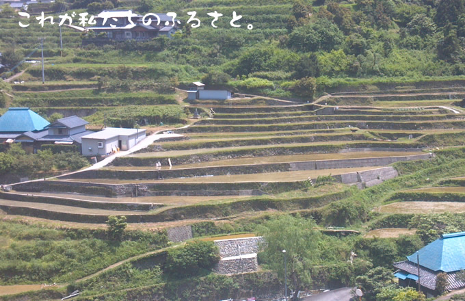 これが私たちのふるさと。　佐那河内農園