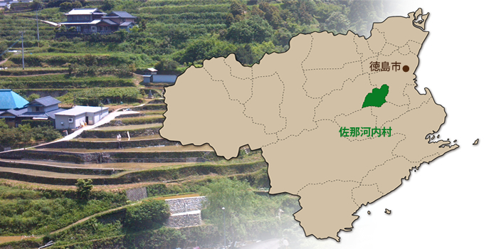 佐那河内村の地図